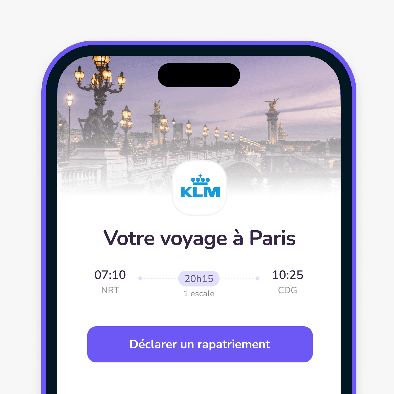 Voyageurs d'affaires